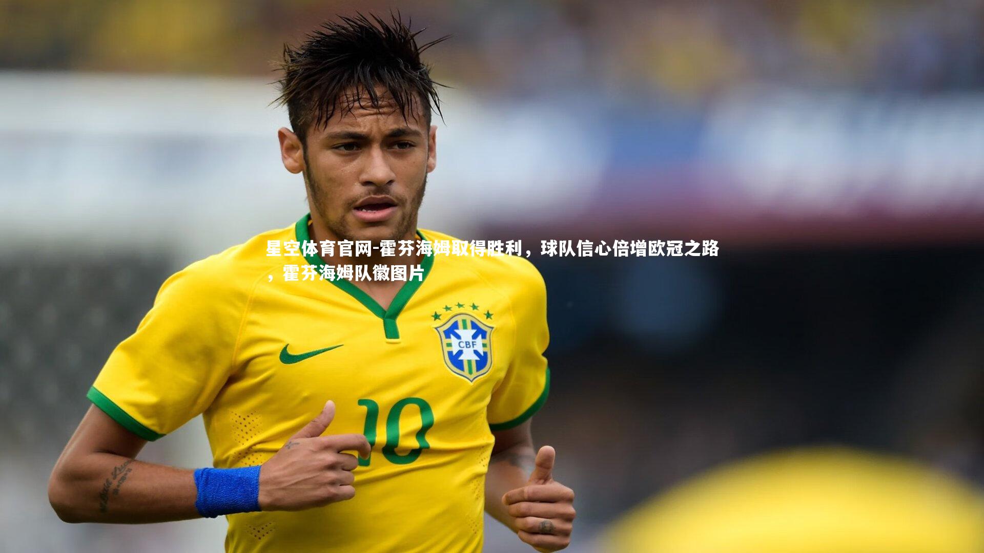 霍芬海姆取得胜利，球队信心倍增欧冠之路，霍芬海姆队徽图片