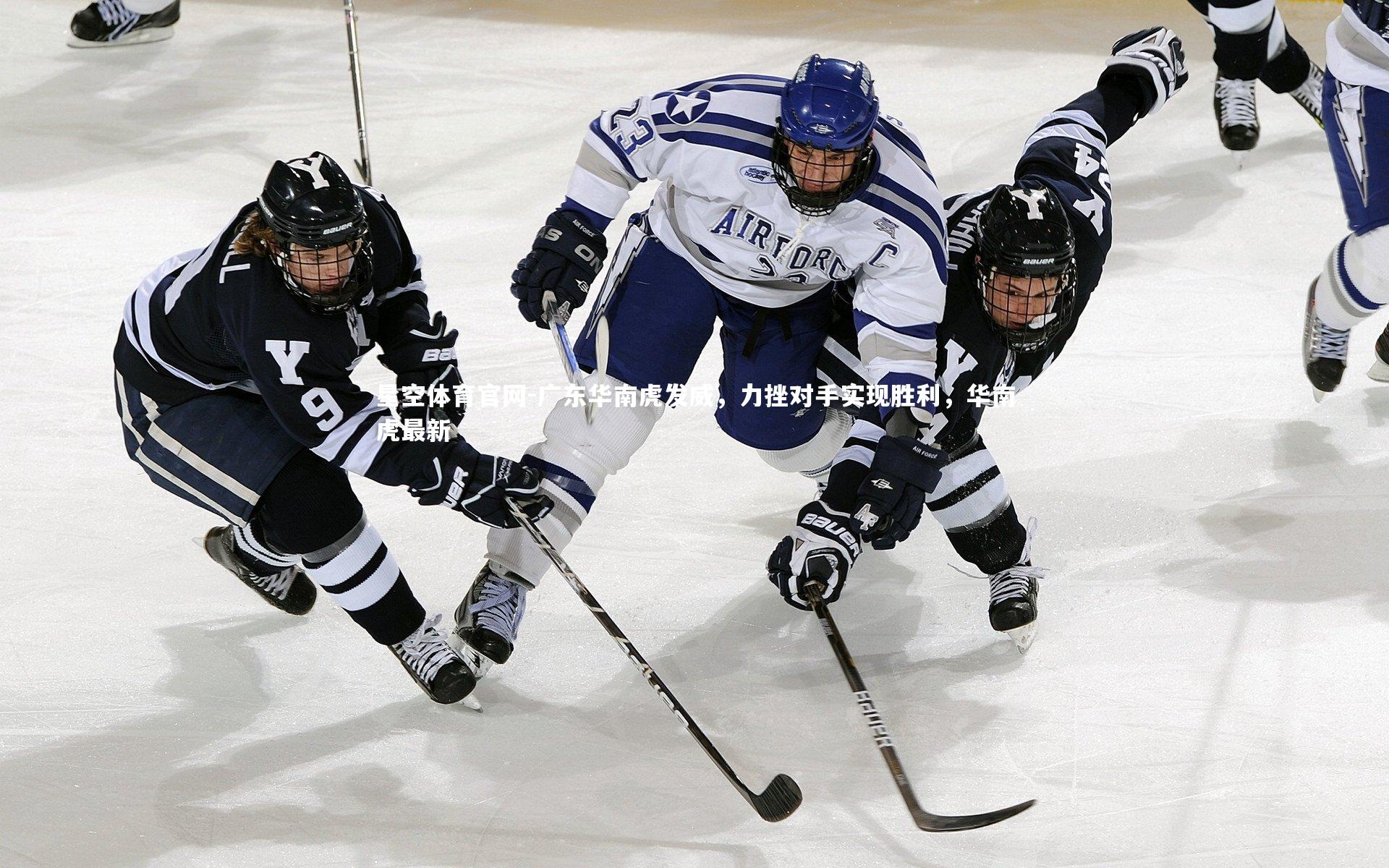 广东华南虎发威，力挫对手实现胜利，华南虎最新
