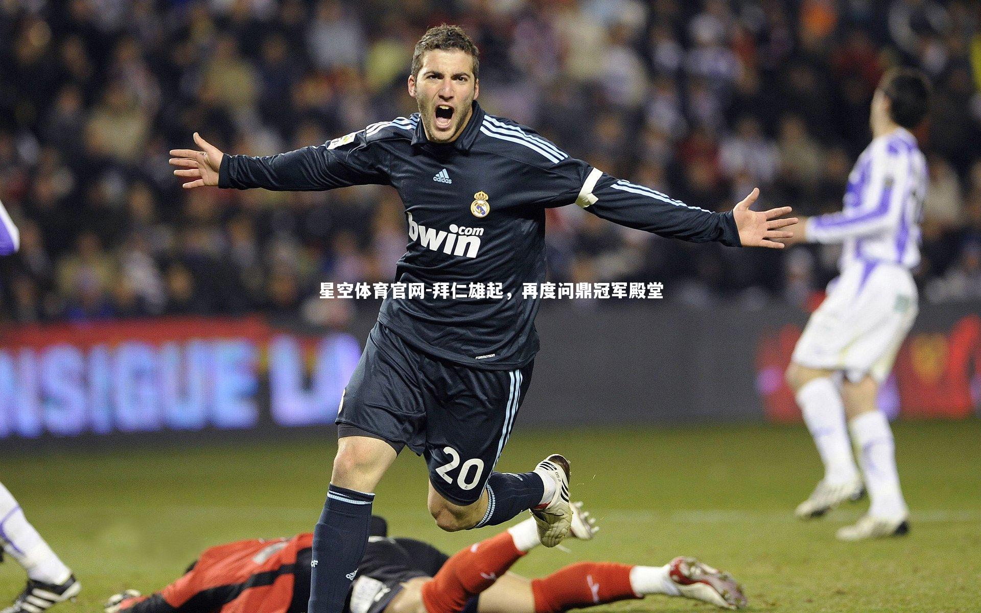 拜仁雄起，再度问鼎冠军殿堂