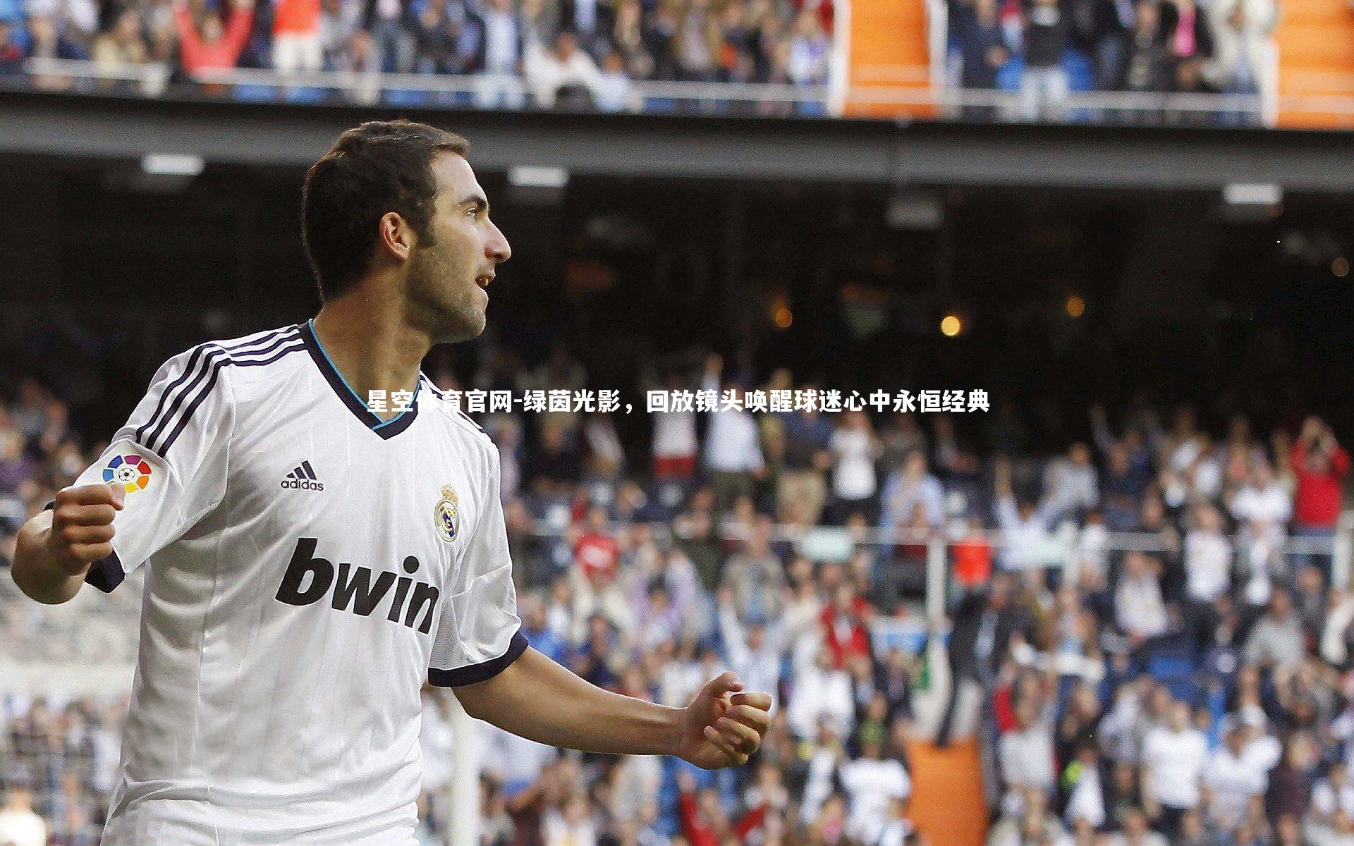 绿茵光影，回放镜头唤醒球迷心中永恒经典